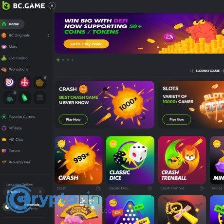 BCStavka Casino Overview A Complete Guide to Online Gambling